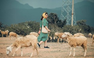 Đồng cừu Ninh Thuận, thảo nguyên xanh giữa dải đất miền Trung nắng gió