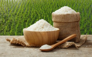 Giá lúa gạo hôm nay ngày 7/12: Đầu tuần giao dịch chậm, giá lúa gạo ở mức cao