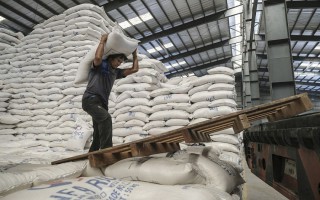 Giá lúa gạo hôm nay ngày 30/12: Giá lúa nếp tăng nhẹ